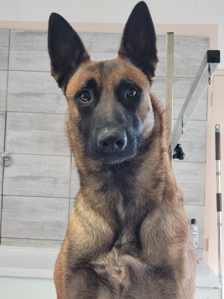 R'naza des Rives De La Mamika